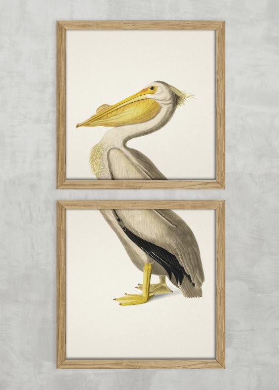 Pelikan plakat eksempel