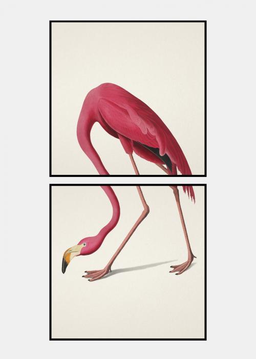 Flamingo plakat i ramme