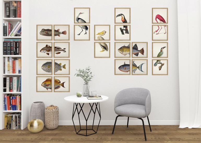 Fugle og fiske plakater
