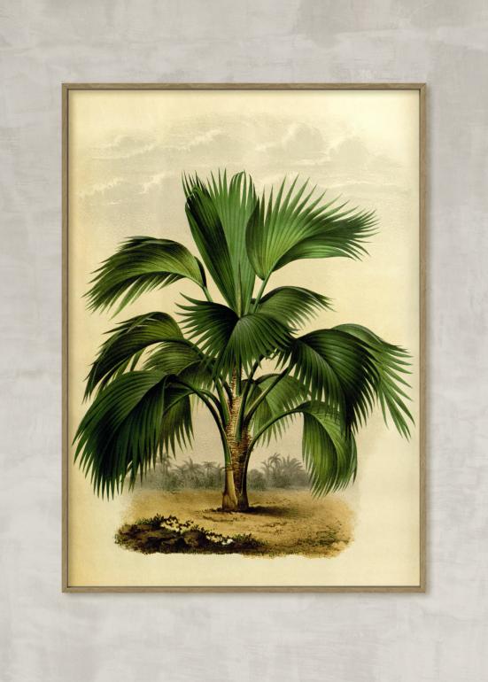 Vintage palme no. 4 - plakat eks01
