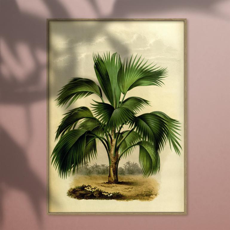 Vintage palme no. 4 - plakat eks02
