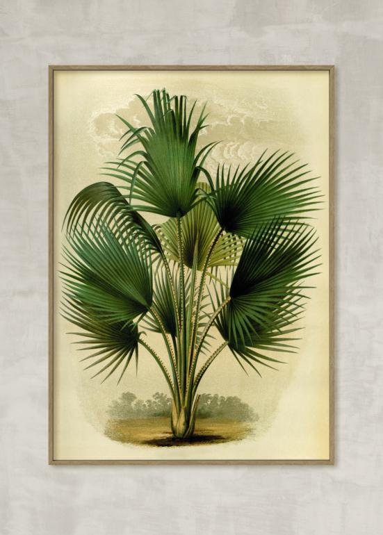 Vintage palme no. 1 - plakat eks01