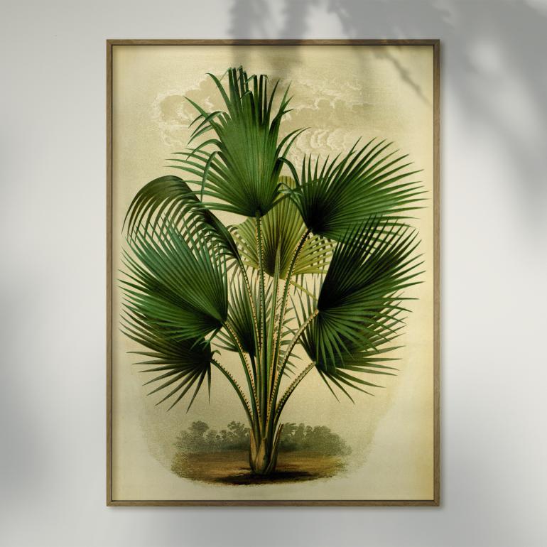 Vintage palme no. 1 - plakat eks02