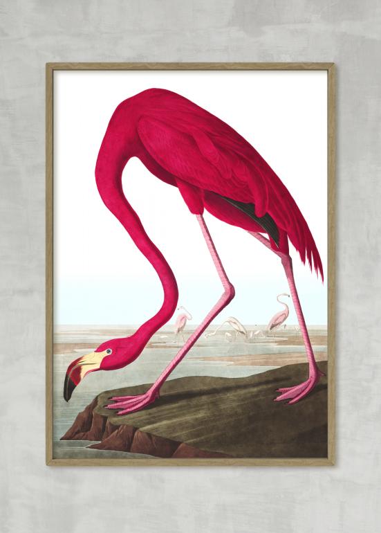 Flamingoen - plakat eks01