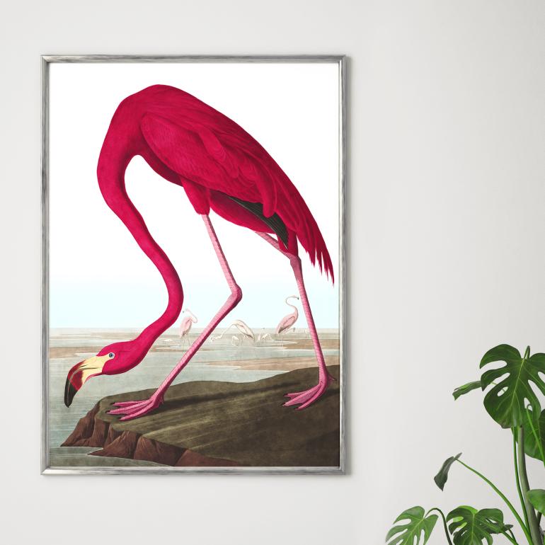 Flamingoen - plakat eks02