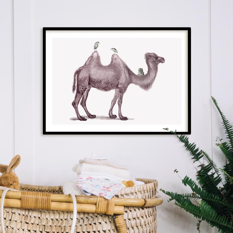 kamelen - plakat eks02
