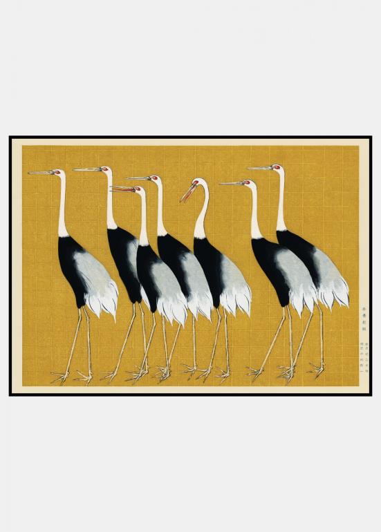 Flock of Red Crown Cranes - plakat i ramme