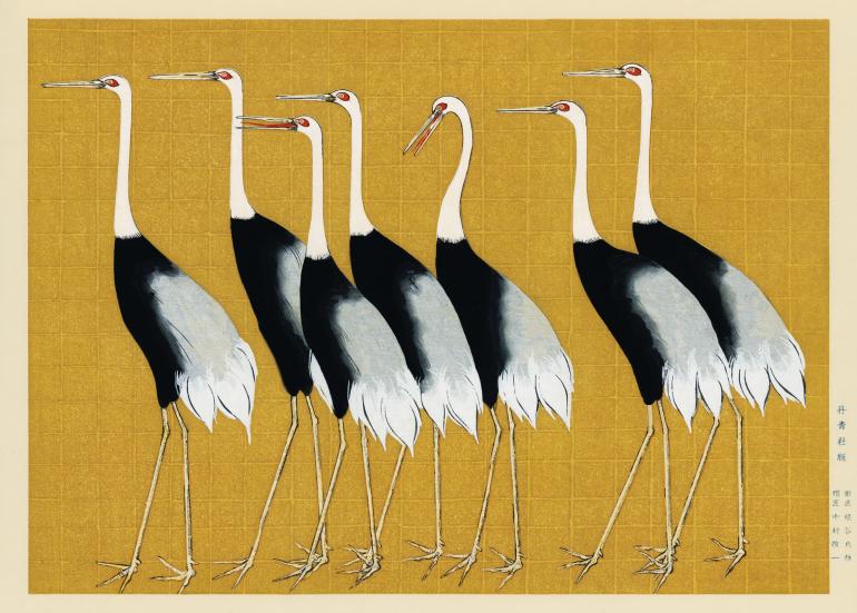 Flock of Red Crown Cranes - plakat