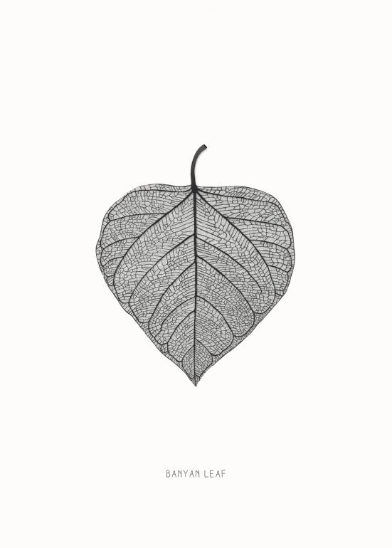 Banyan leaf plakat