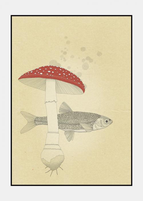 Fisk og svamp plakat